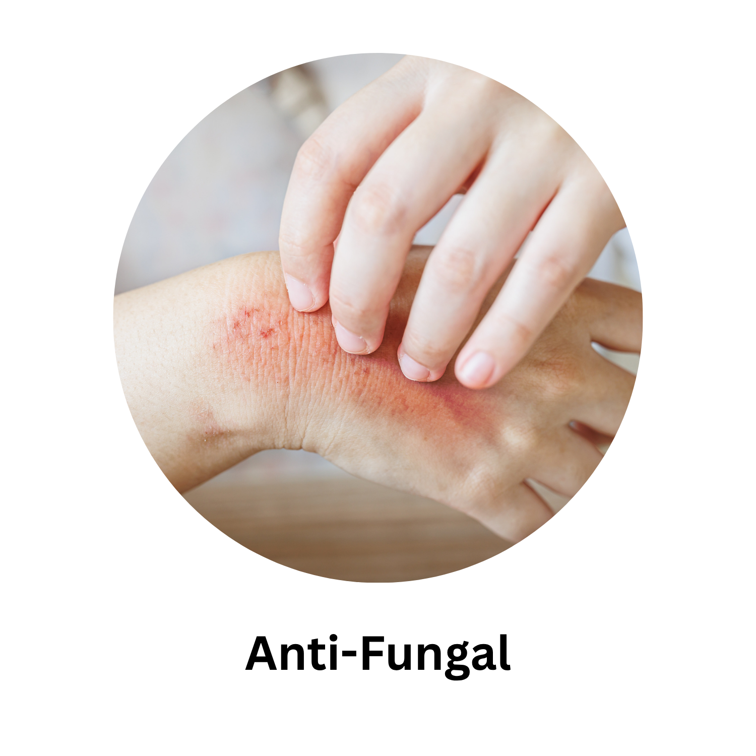 Anti Fungal