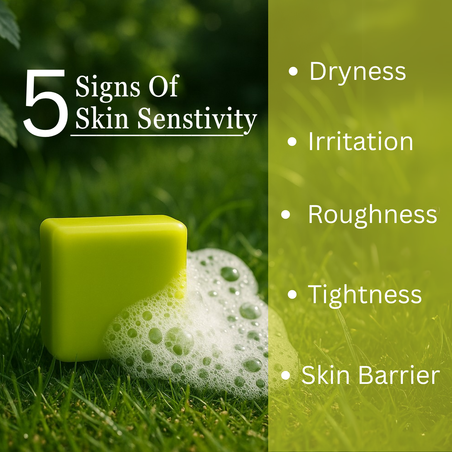 Cold Processed Moisturising Soap